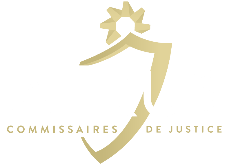 logo AEKUS  Lyon rhone (69)